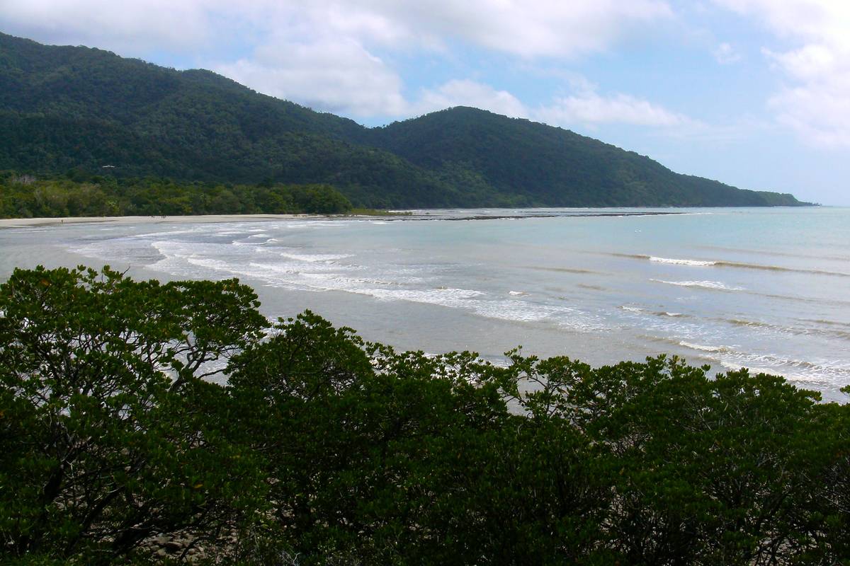 Regnskogsklädda berg sluttar ner mot en bred sandstrand och ett grunt hav vid Cape Tribulation, med gröna trädkronor i förgrunden