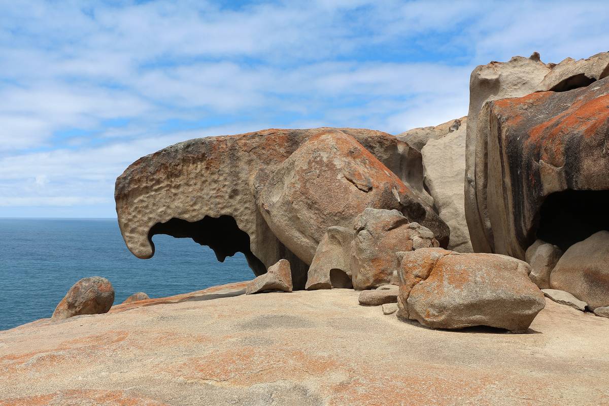 Väderbitna granitklippor med orangea lavfläckar formade som en näbb på en klipphäll ovanför havet vid Remarkable Rocks