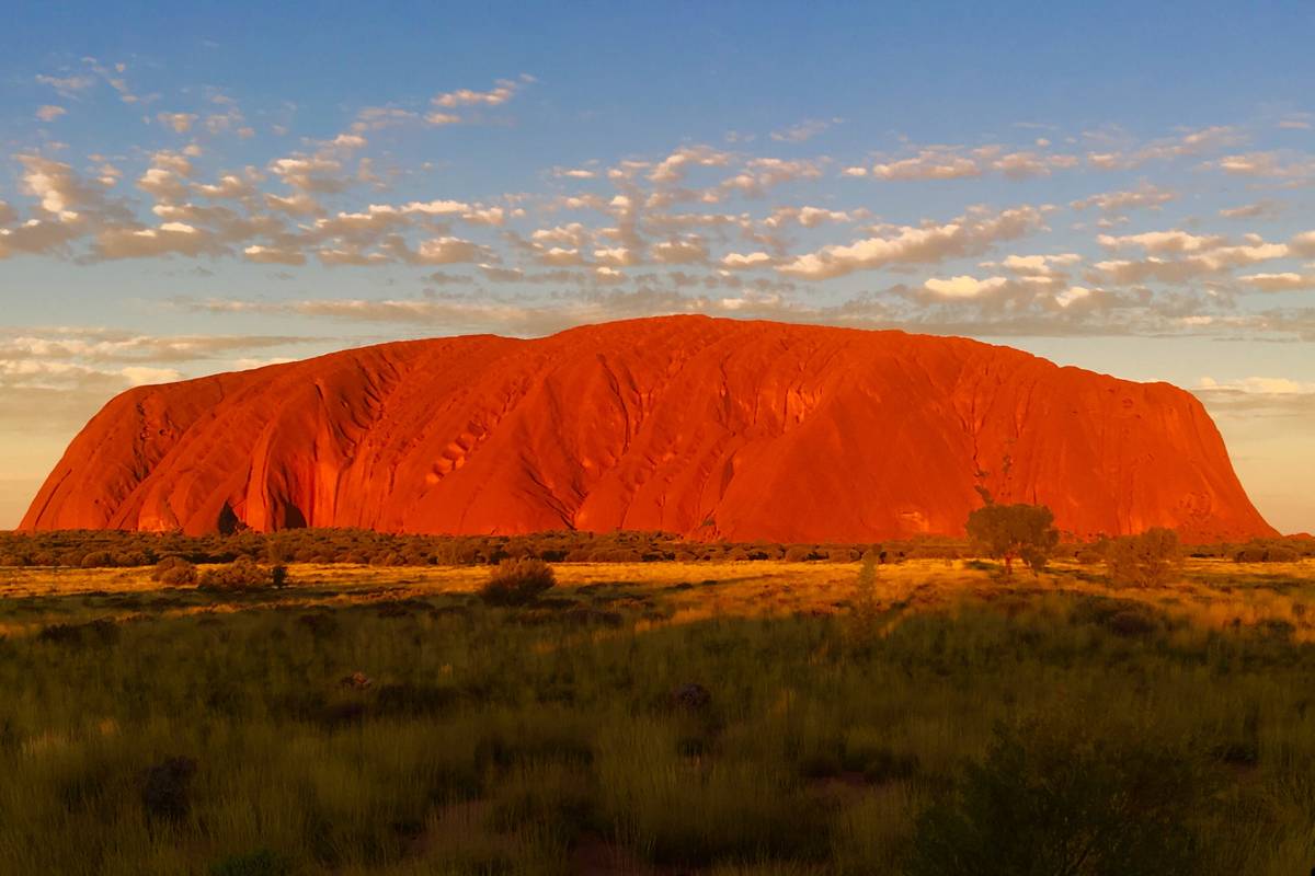 Uluru lyser orangeröd i kvällssolen över en grön och gul slätt, under en himmel med små rosa moln