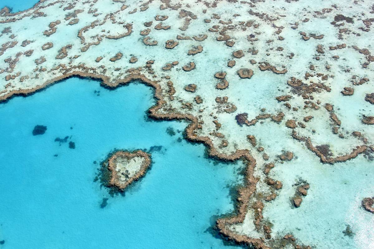 Flygbild över Stora barriärrevet med det lilla hjärtformade Heart Reef i en turkos lagun bredvid bruna korallrev