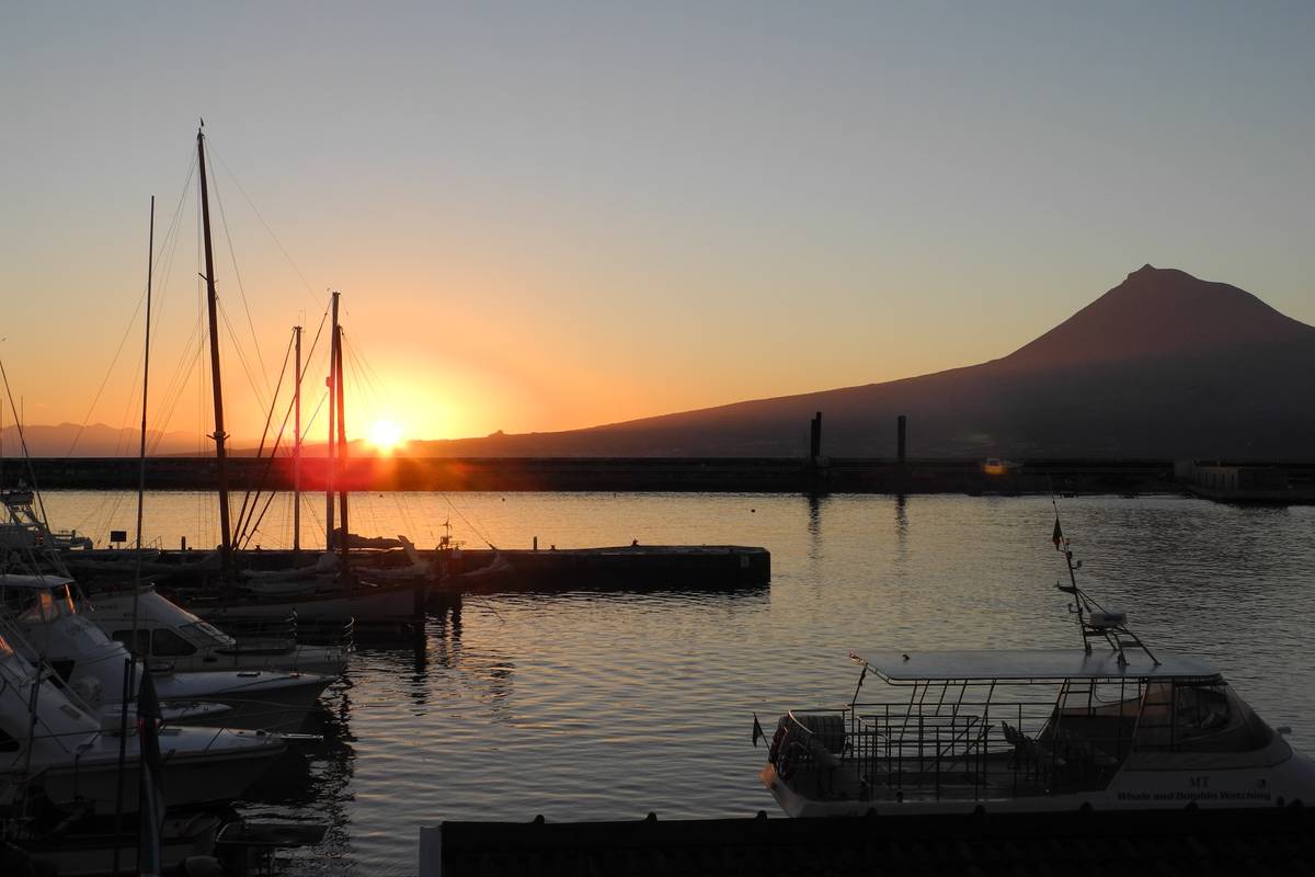 Soluppgång över marinan i Horta på Faial med segelbåtar i siluett och vulkanen Pico på andra sidan sundet