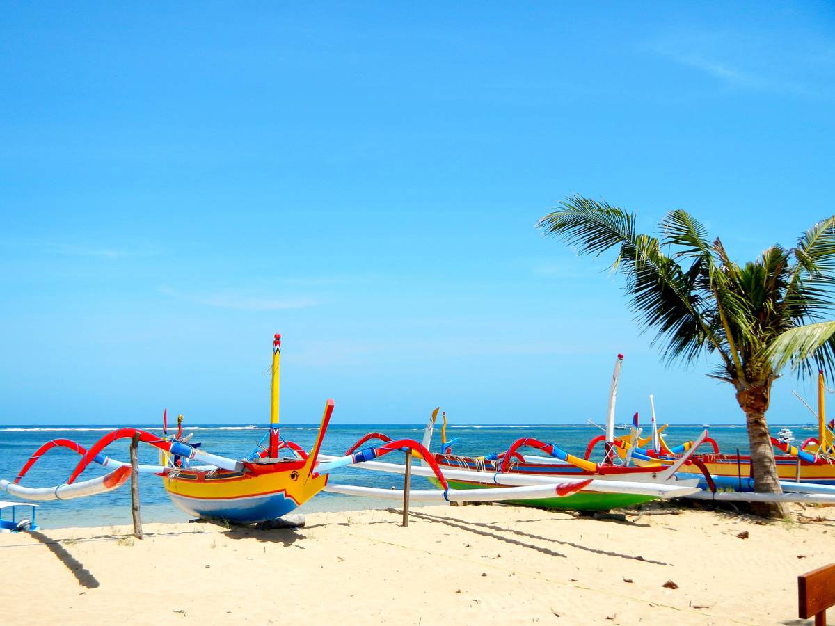 Färgglada balinesiska utriggarbåtar, jukung, uppdragna på den ljusa sandstranden i Sanur under en palm och en klarblå himmel