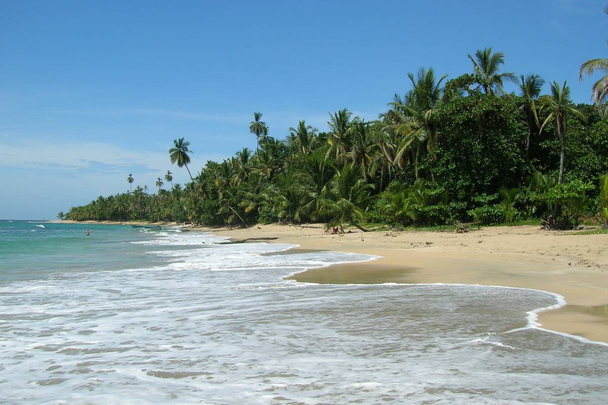 Ljus sandstrand med skummande vågor och höga kokospalmer vid Punta Uva på Costa Ricas karibiska kust, under blå himmel