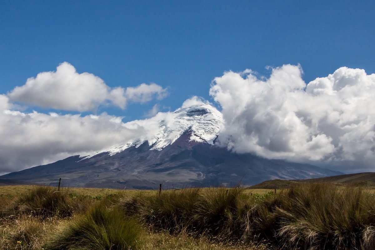 Den snötäckta vulkankonen Cotopaxi med vita moln runt toppen, sedd över den gyllene gräsklädda högslätten under en blå himmel