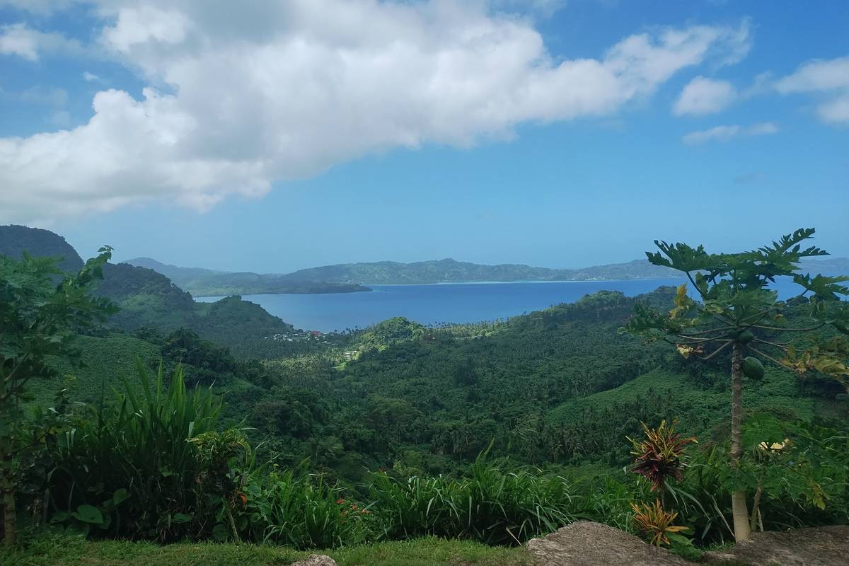 Utsikt från Urata Lookout över grön regnskog och papayaträd ner mot den blå bukten vid Savusavu på Vanua Levu