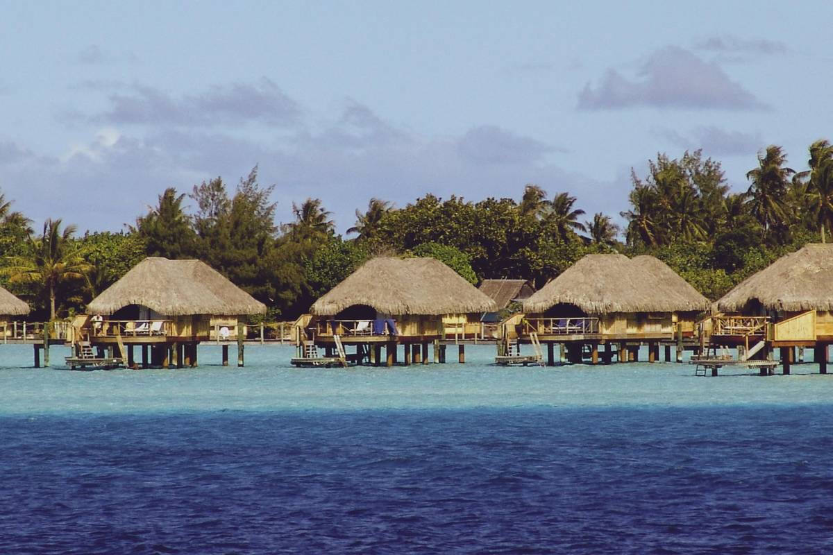 En rad bungalower med halmtak på pålar över den turkosa lagunen på Bora Bora, med palmer bakom