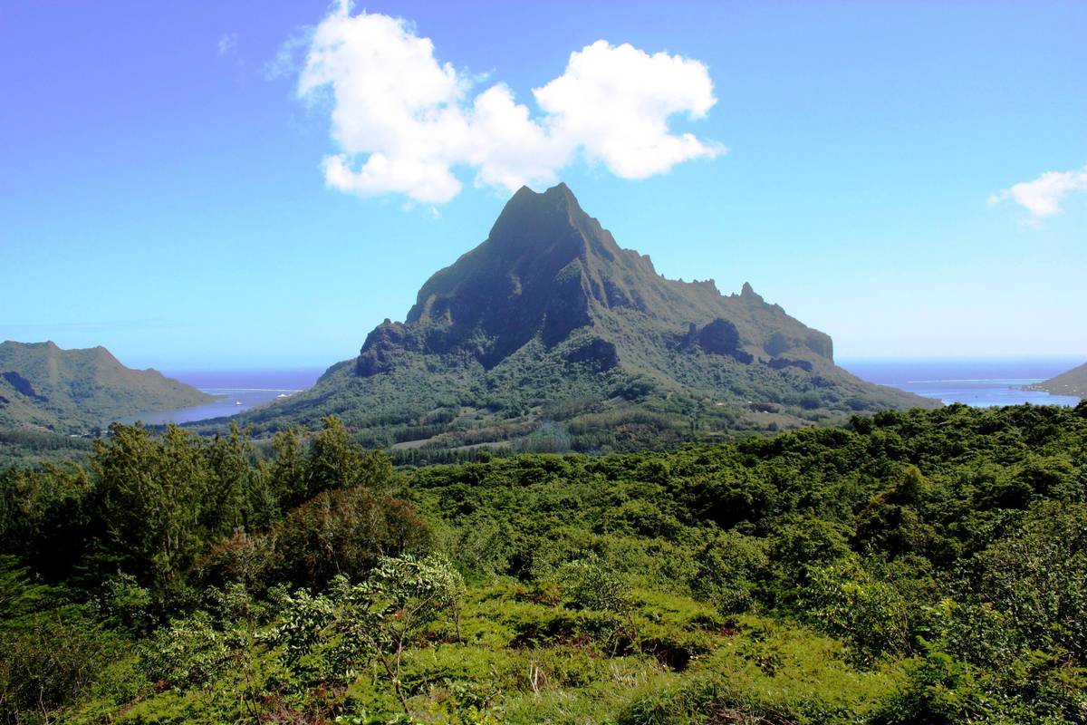 Berget Rotui på Moorea med vikarna Opunohu och Cook på var sida, sett från en grön kulle under blå himmel