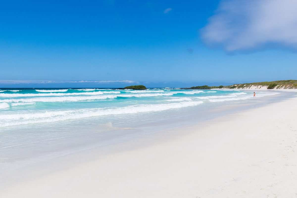 En lång, kritvit sandstrand vid Tortuga Bay där vita vågor rullar in från ett turkost hav under en klarblå himmel
