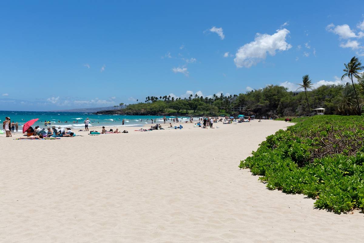 Den breda, vita sandstranden Hāpuna på Big Islands västkust, med turkost hav, palmer, låga gröna buskar och några badande under en blå himmel