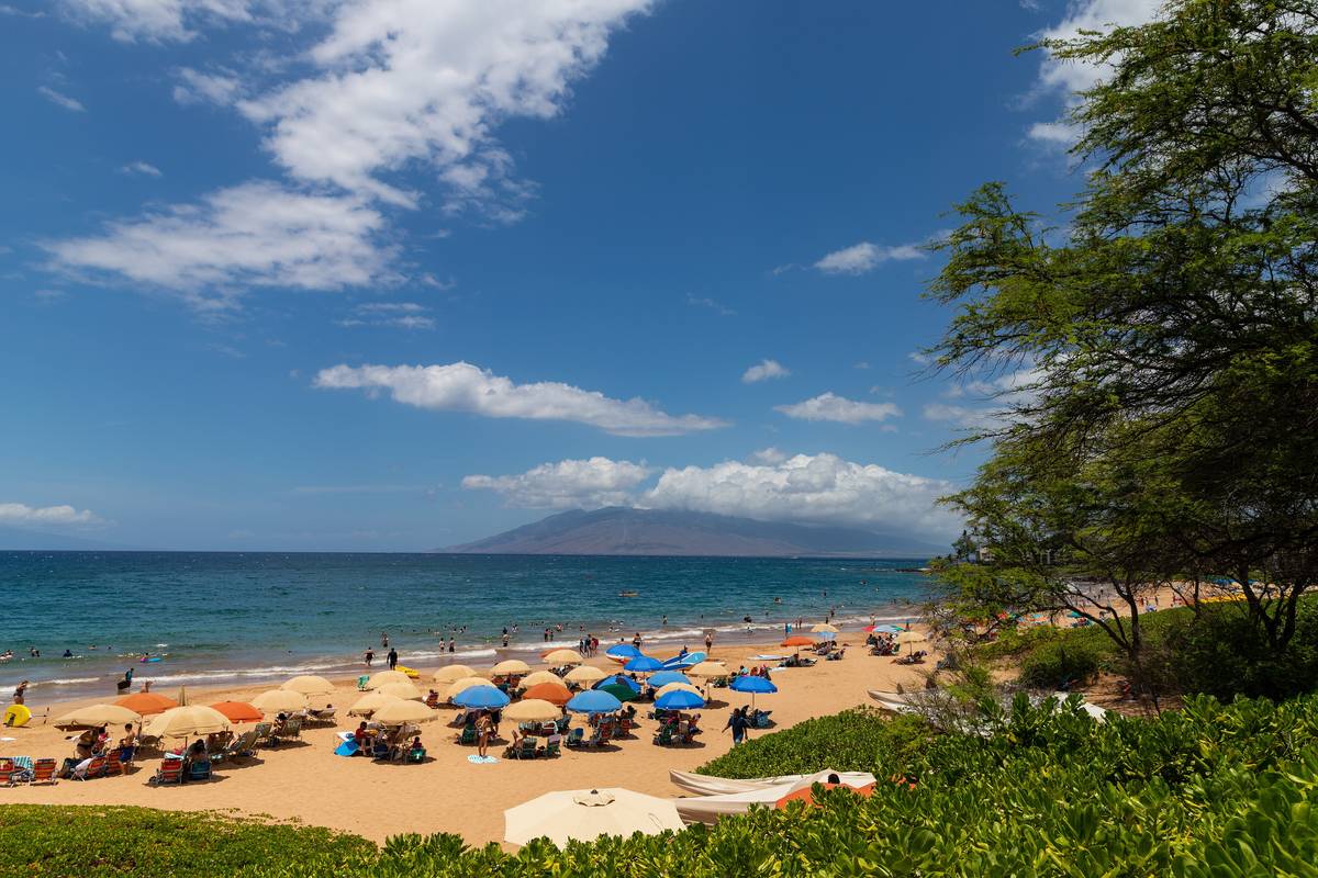 Färgglada parasoller på den gyllene sanden vid Wailea Beach på Maui, med turkost hav, ett grönt träd i förgrunden och grannön Kahoʻolawe vid horisonten