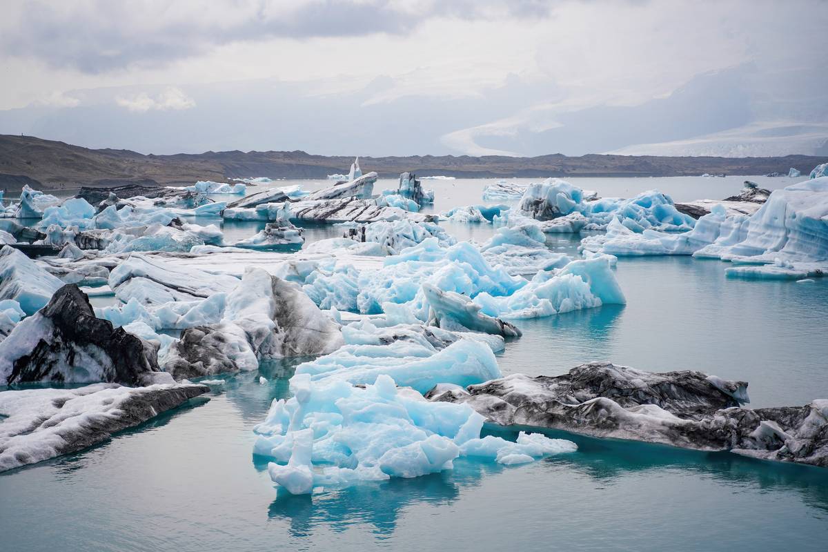 Blåskimrande isberg som flyter i glaciärlagunen Jökulsárlón, med stilla vatten och fler isblock i bakgrunden