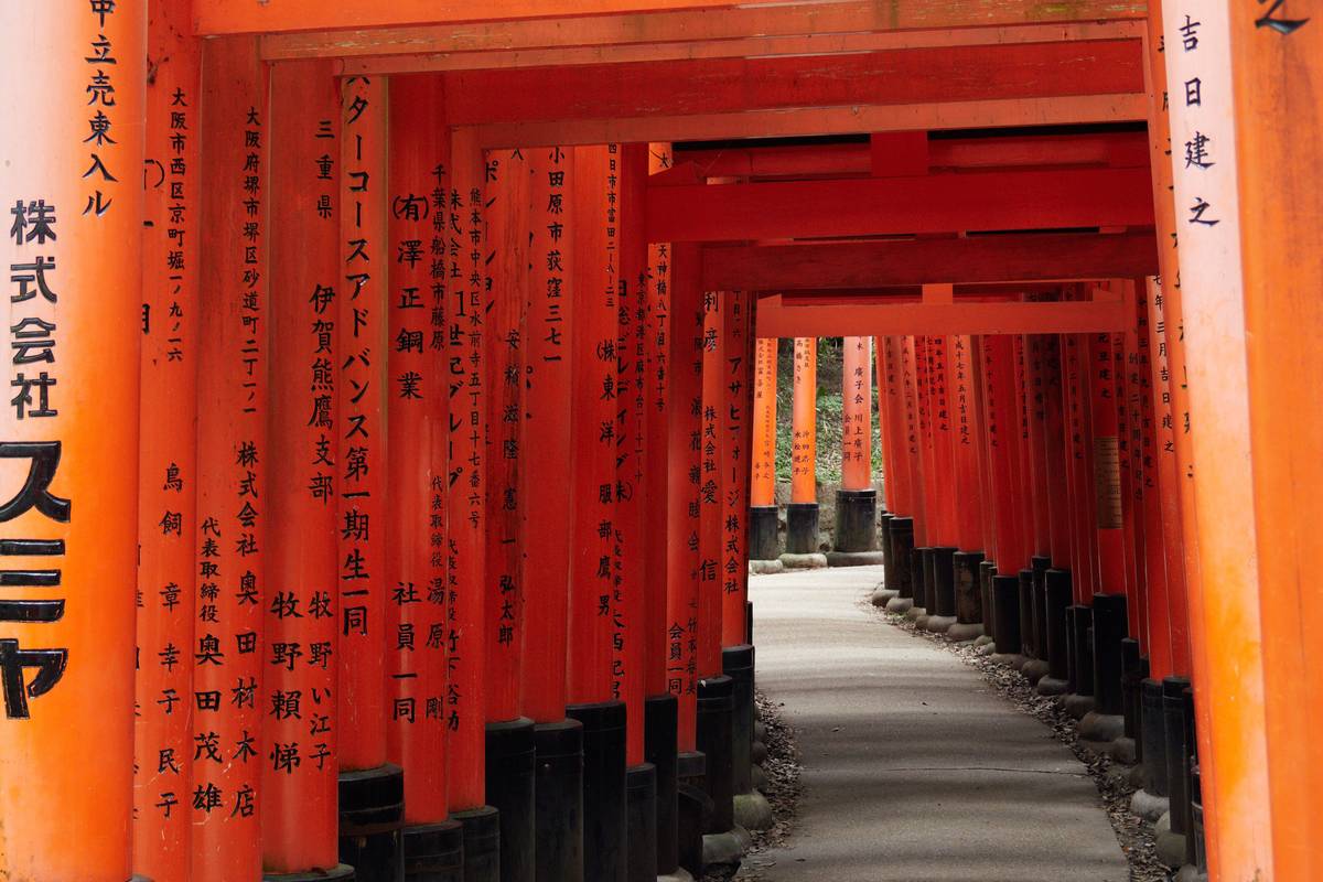 En stig genom en lång tunnel av tätt stående röda och orange toriiportar vid Fushimi Inari i Kyoto