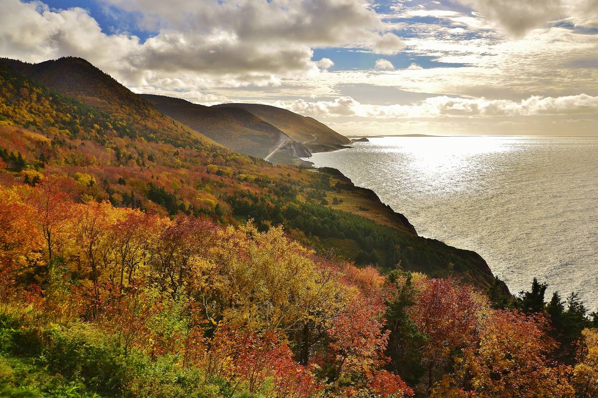 Höstskog i rött, orange och gult på en brant sluttning ner mot havet längs Cabot Trail, med solen som glittrar på vattnet