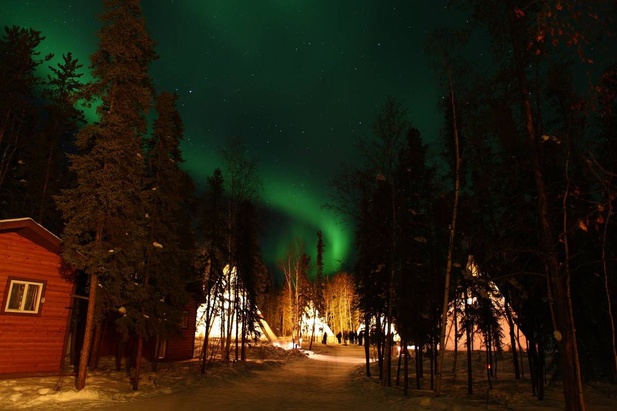 Grönt norrsken över höga granar och upplysta tipitält i en snöig skog vid Yellowknife