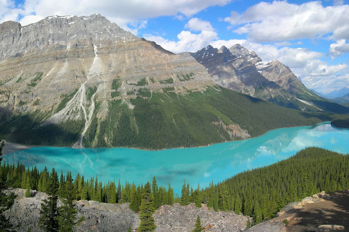Utsikt ovanifrån över den klart turkosa Peyto Lake mellan granklädda sluttningar och gråa berg med snöfläckar under vita moln