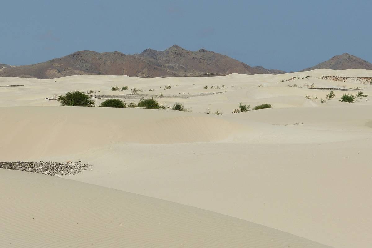 Ljusa sanddyner i öknen Deserto de Viana på Boa Vista med några gröna buskar och bruna, kala berg under en klarblå himmel