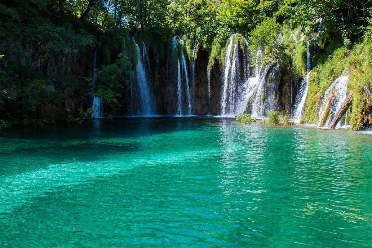 Flera smala vattenfall som faller ner i en klar, smaragdgrön sjö omgiven av grönska i Plitvicesjöarnas nationalpark