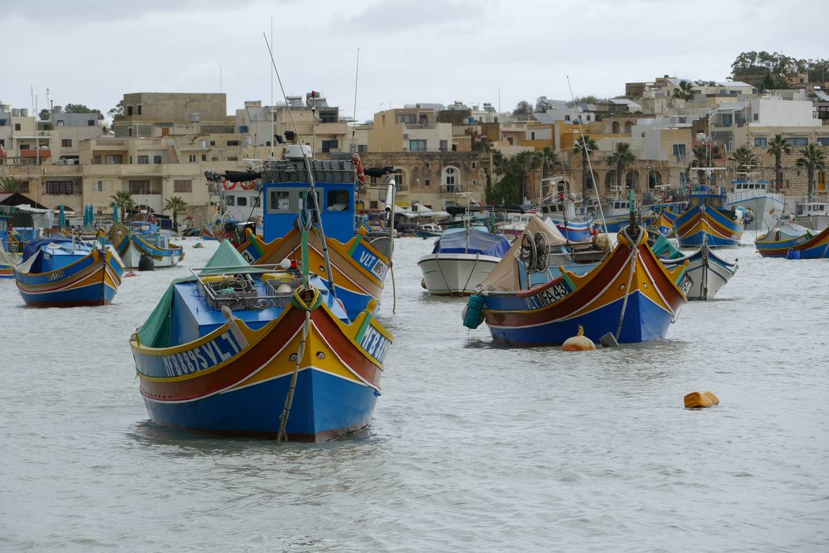 Färgglada fiskebåtar av typen luzzu i blått, gult och rött förtöjda i hamnen i Marsaxlokk med hus och palmer i bakgrunden