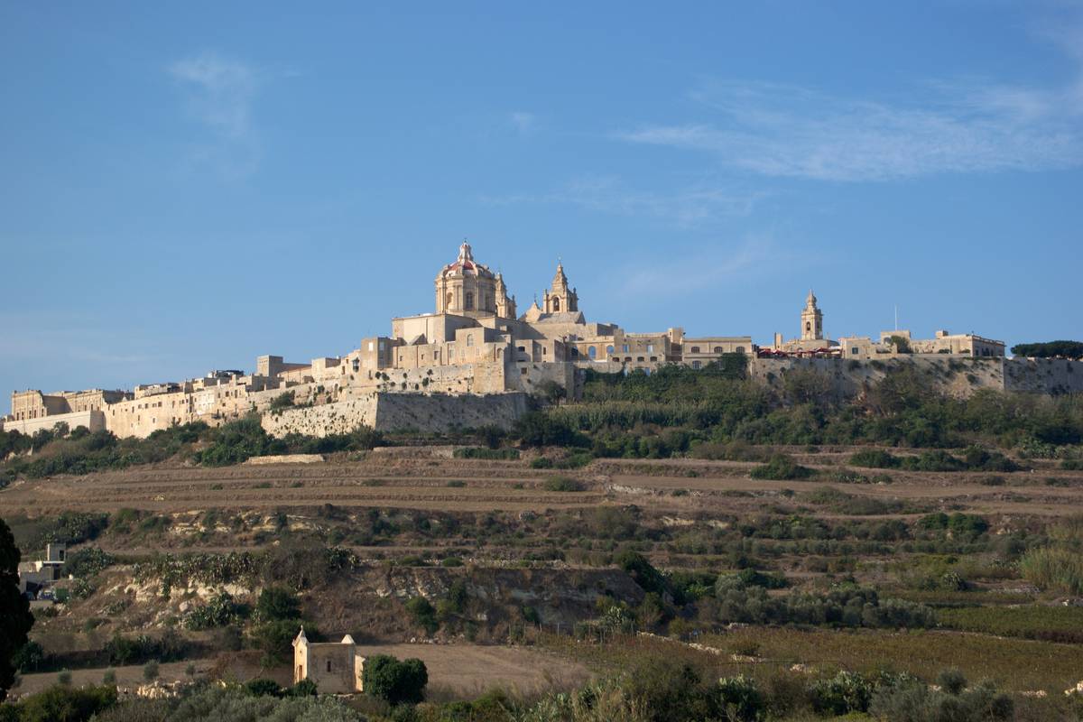 Den muromgärdade staden Mdina på en höjd med katedralens kupol och klocktorn ovanför terrasserade fält i morgonljus