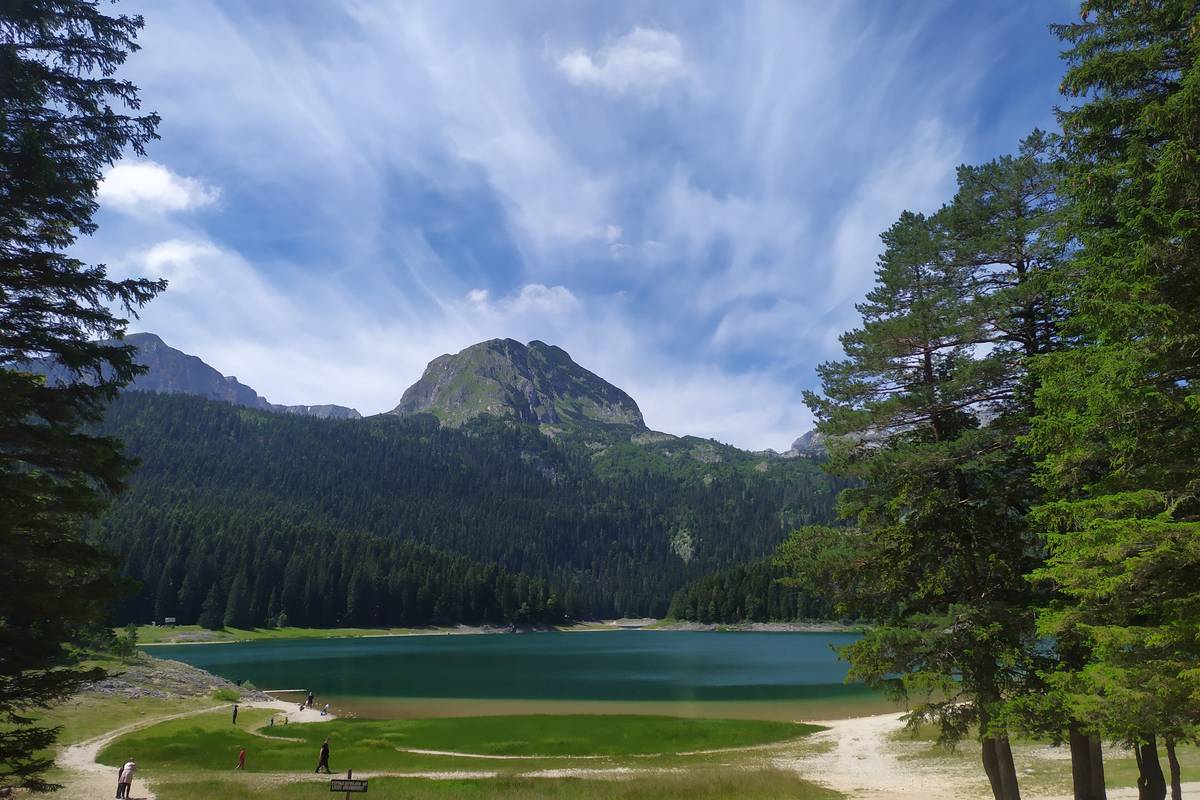Den grönblå sjön Crno jezero i Durmitor omgiven av höga tallar och barrskog, med en spetsig bergstopp under en blå himmel med slöjmoln