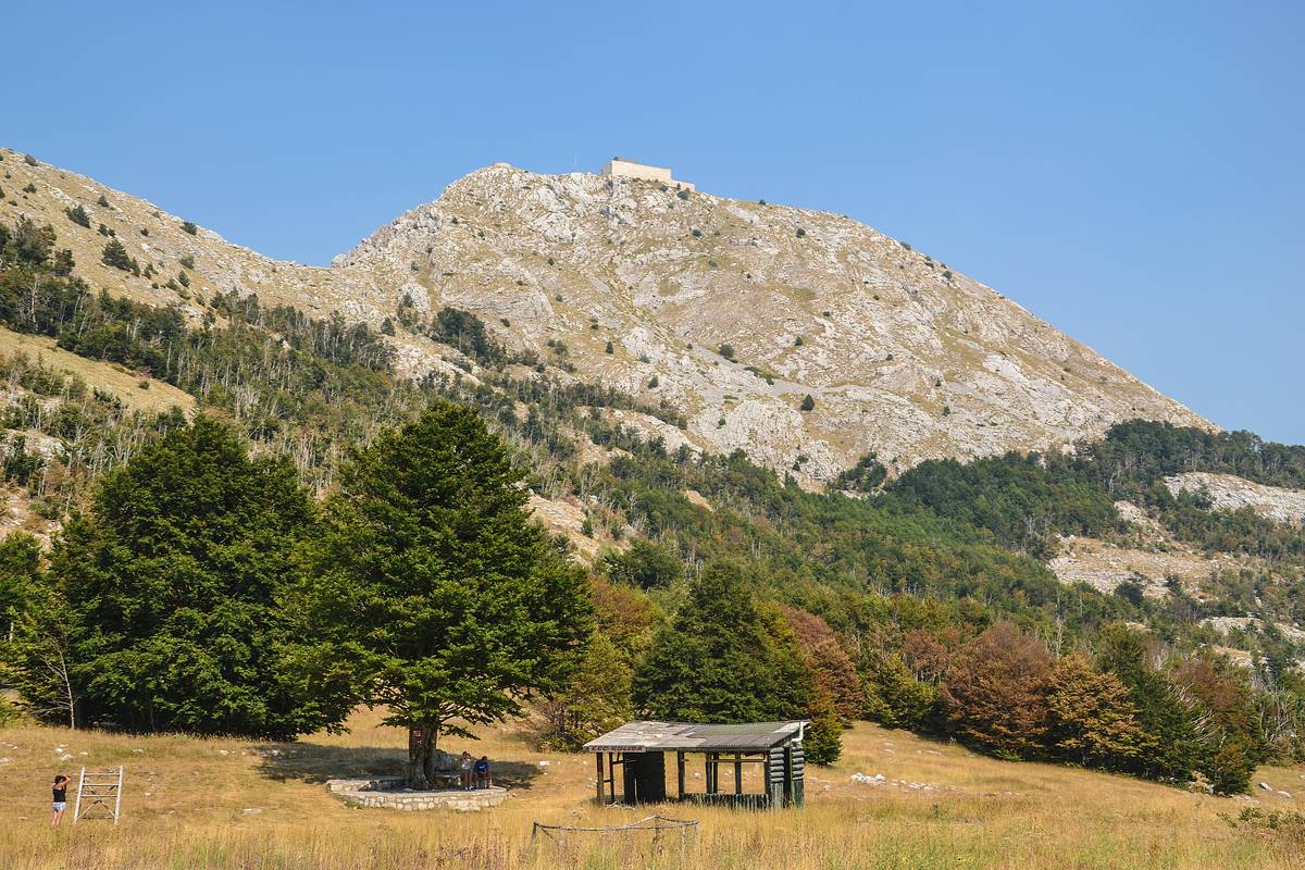 Ett kalt, ljust kalkstensberg i nationalparken Lovćen bakom mörkgröna träd, en äng i höstfärger och ett litet vindskydd