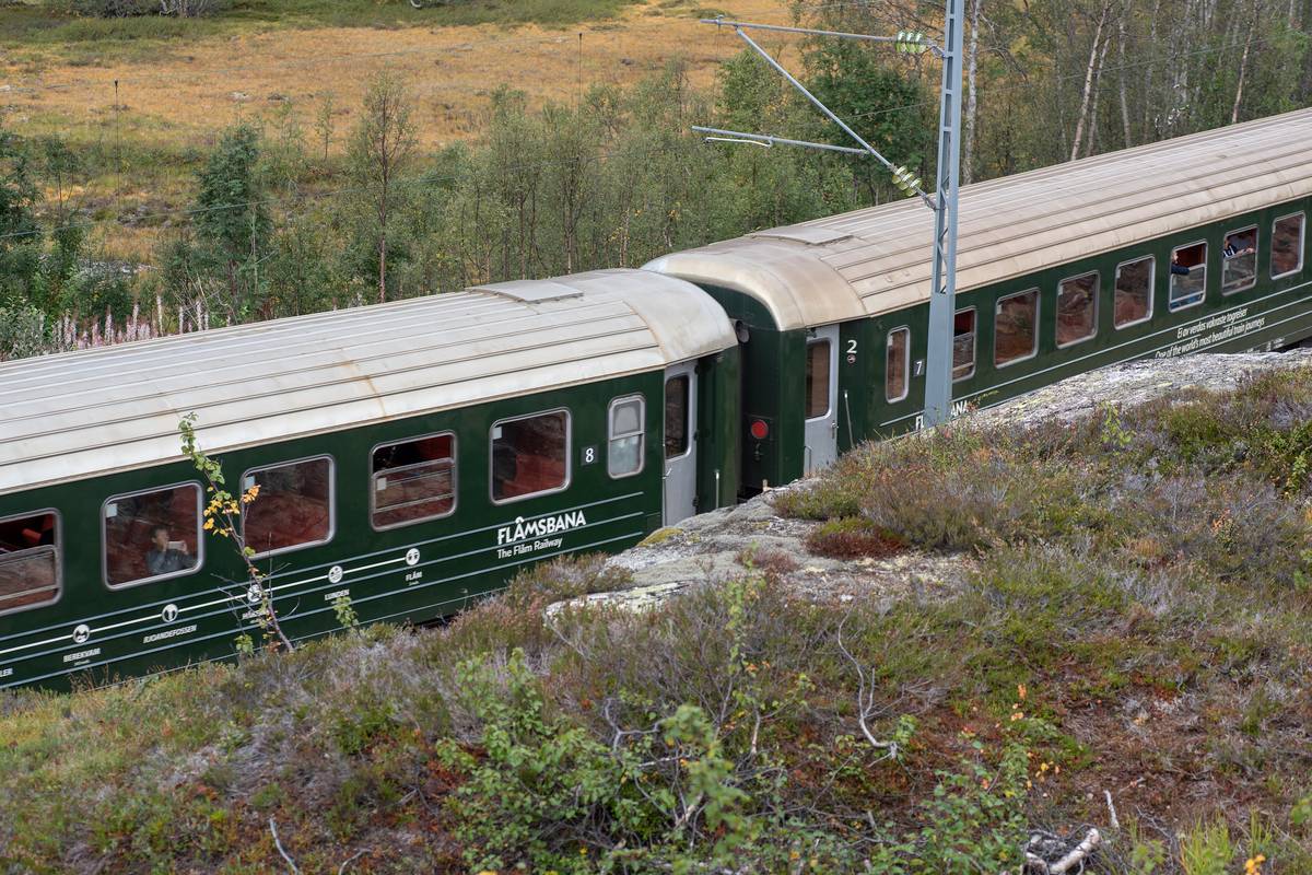 Gröna vagnar från Flåmsbana kör förbi en sluttning med ljung och stenar, med kontaktledningar och skog i bakgrunden