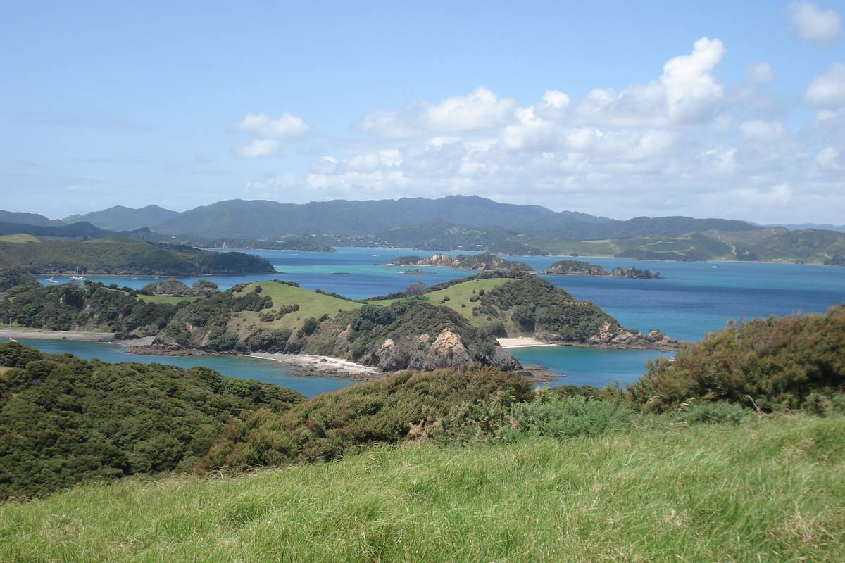 Utsikt över gröna öar och turkosa vikar i Bay of Islands, med berg vid horisonten under en blå himmel