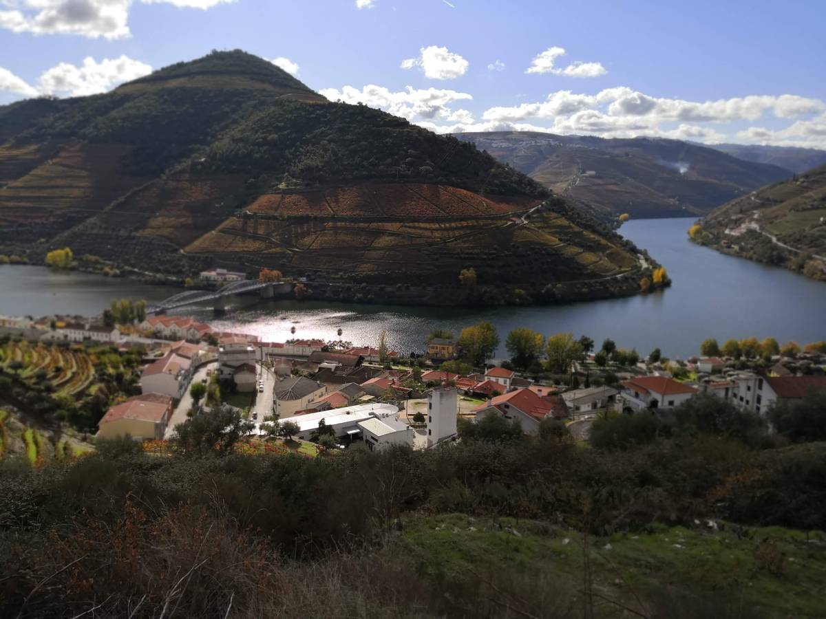 Byn Pinhão vid floden Douro, med terrasserade vingårdar i höstfärger på kullarna ovanför floden och en bro över vattnet