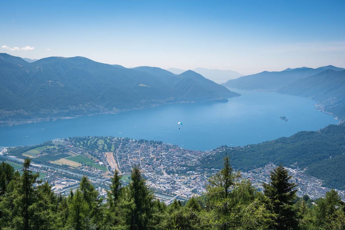 Utsikt från Cardada ovanför Locarno över den blå Lago Maggiore, Ascona och Maggiadeltat, med skogklädda berg och granar i förgrunden