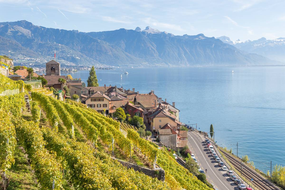 Gulnande vinrankor på branta terrasser ner mot byn Saint-Saphorin med kyrktorn och tegeltak vid den blå Genèvesjön, med berg på andra sidan sjön