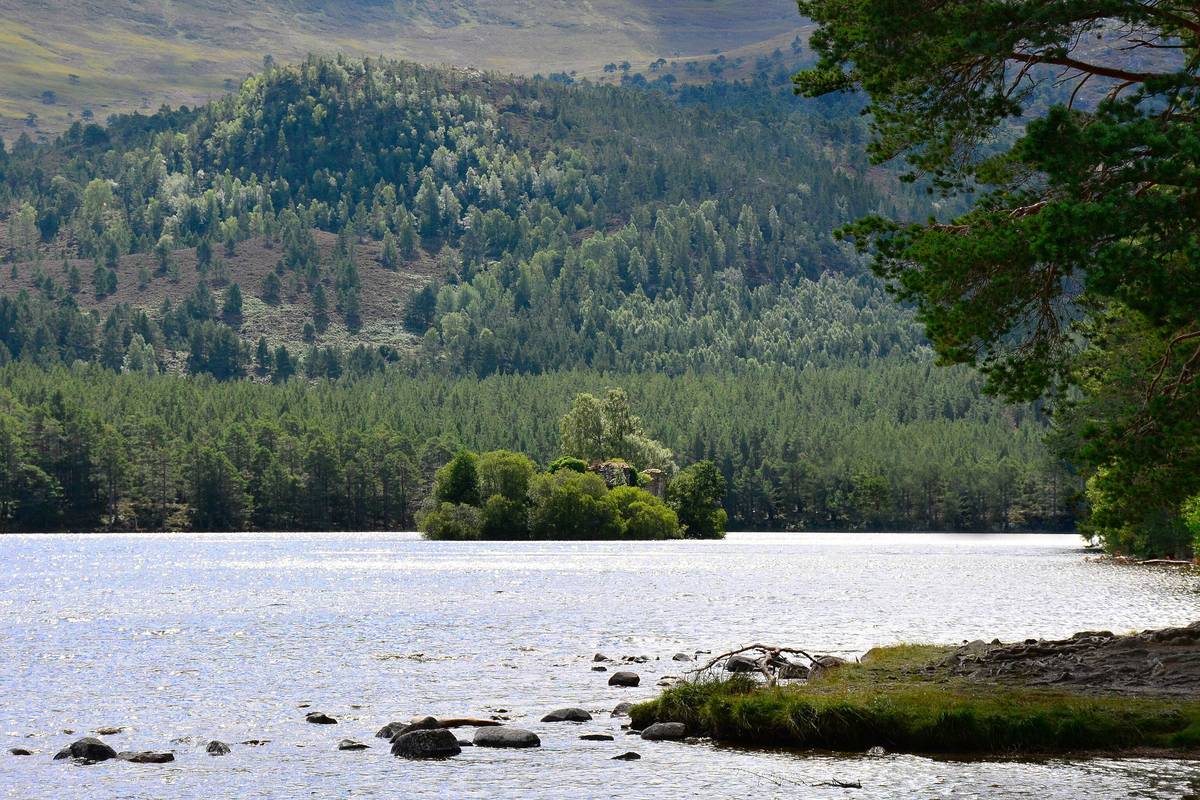 Den glittrande sjön Loch an Eilein med en liten skogbevuxen ö, omgiven av tallskog och sluttande skogsklädda kullar en solig dag