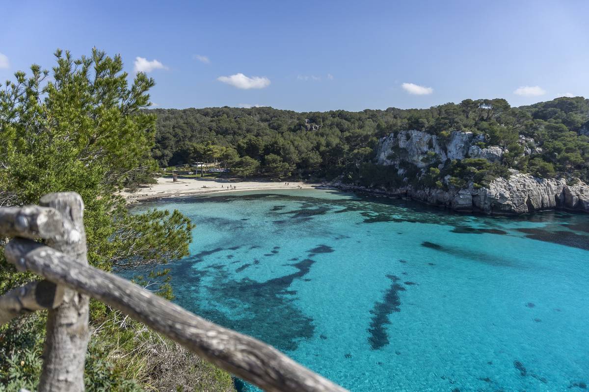 Viken Cala Macarella på Menorca med turkost, klart vatten, en ljus sandstrand och tallklädda kalkstensklippor, sedd från stigen ovanför