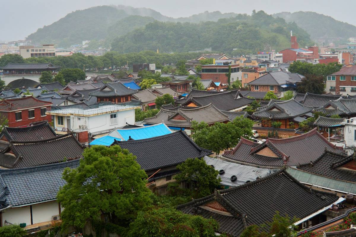 Utsikt över de mörka, böjda tegeltaken i hanokbyn i Jeonju, med gröna träd och skogsklädda berg i bakgrunden