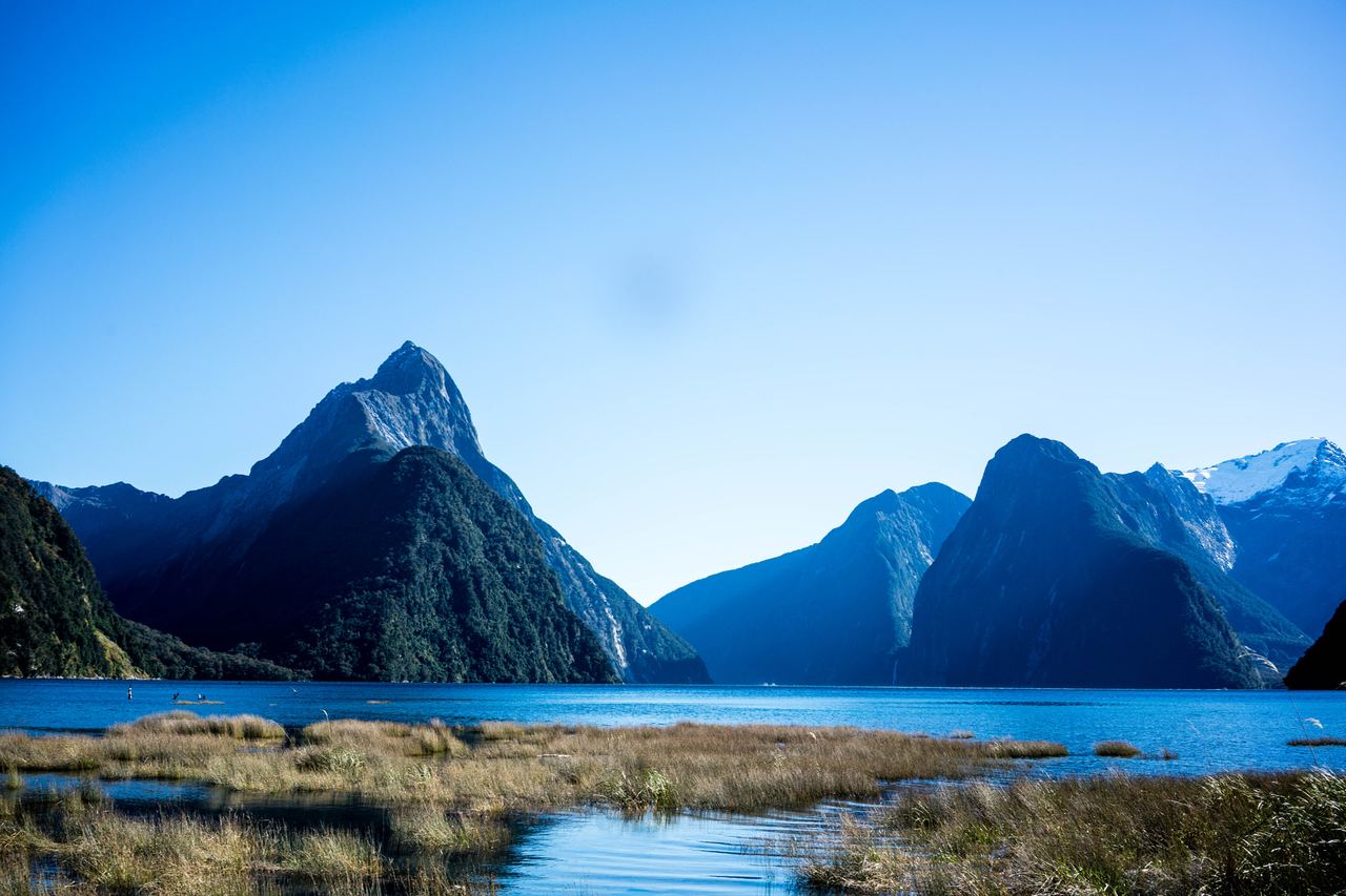 Mitre Peak och bergen kring Milford Sound reser sig över den blå fjorden under klarblå himmel, med gyllene gräs i förgrunden